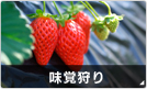 国内団体旅行